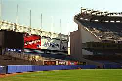 Pictures Courtesy of the NY Yankees